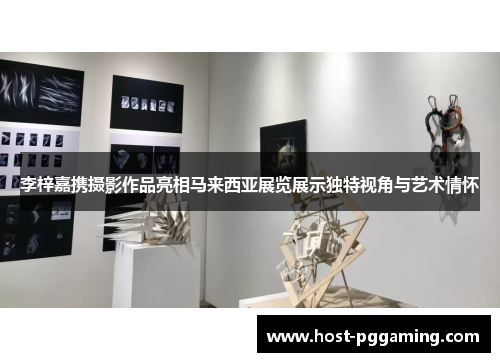 李梓嘉携摄影作品亮相马来西亚展览展示独特视角与艺术情怀