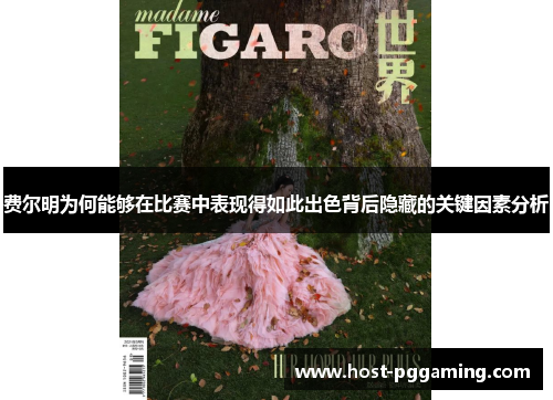 费尔明为何能够在比赛中表现得如此出色背后隐藏的关键因素分析