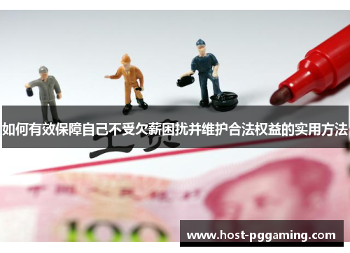 如何有效保障自己不受欠薪困扰并维护合法权益的实用方法