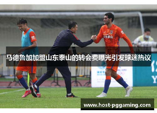 马德鲁加加盟山东泰山的转会费曝光引发球迷热议