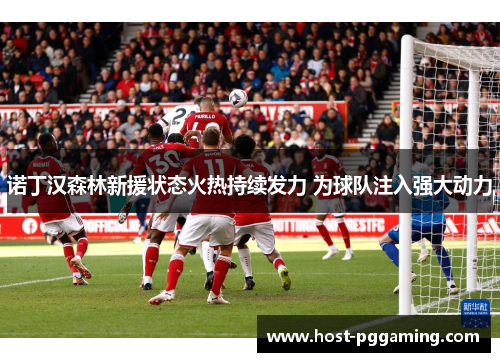 诺丁汉森林新援状态火热持续发力 为球队注入强大动力 诺丁汉森林新援状态火热持续发力 为球队注入强大动力