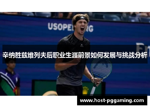 辛纳胜兹维列夫后职业生涯前景如何发展与挑战分析