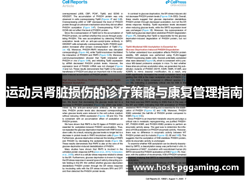 运动员肾脏损伤的诊疗策略与康复管理指南