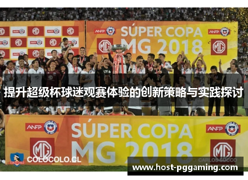 提升超级杯球迷观赛体验的创新策略与实践探讨
