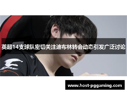 英超14支球队密切关注迪布林转会动态引发广泛讨论