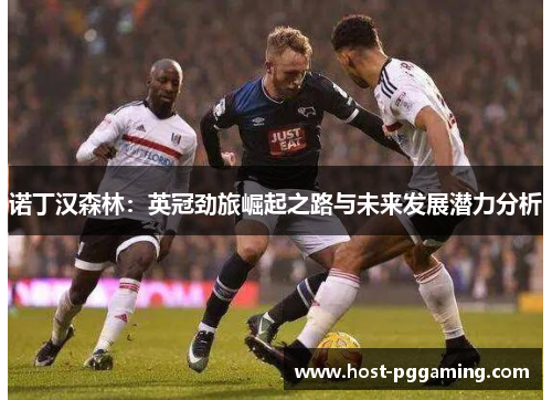 诺丁汉森林：英冠劲旅崛起之路与未来发展潜力分析